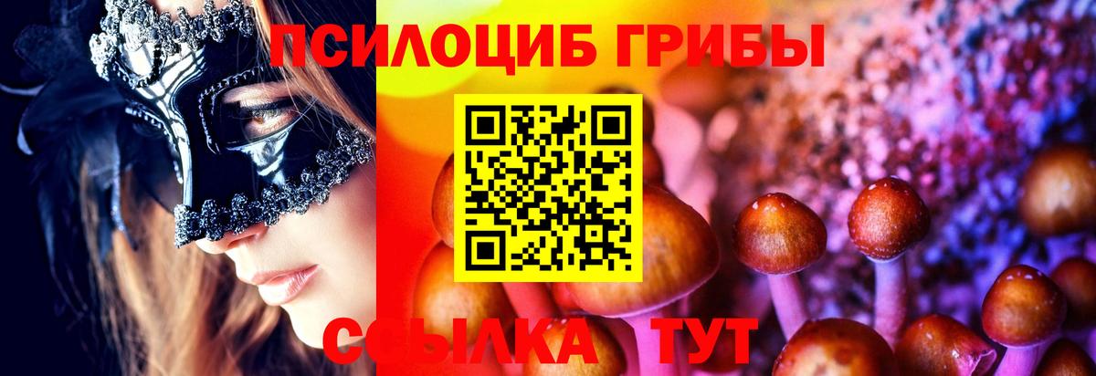 Галлюциногенные грибы мицелий Железногорск